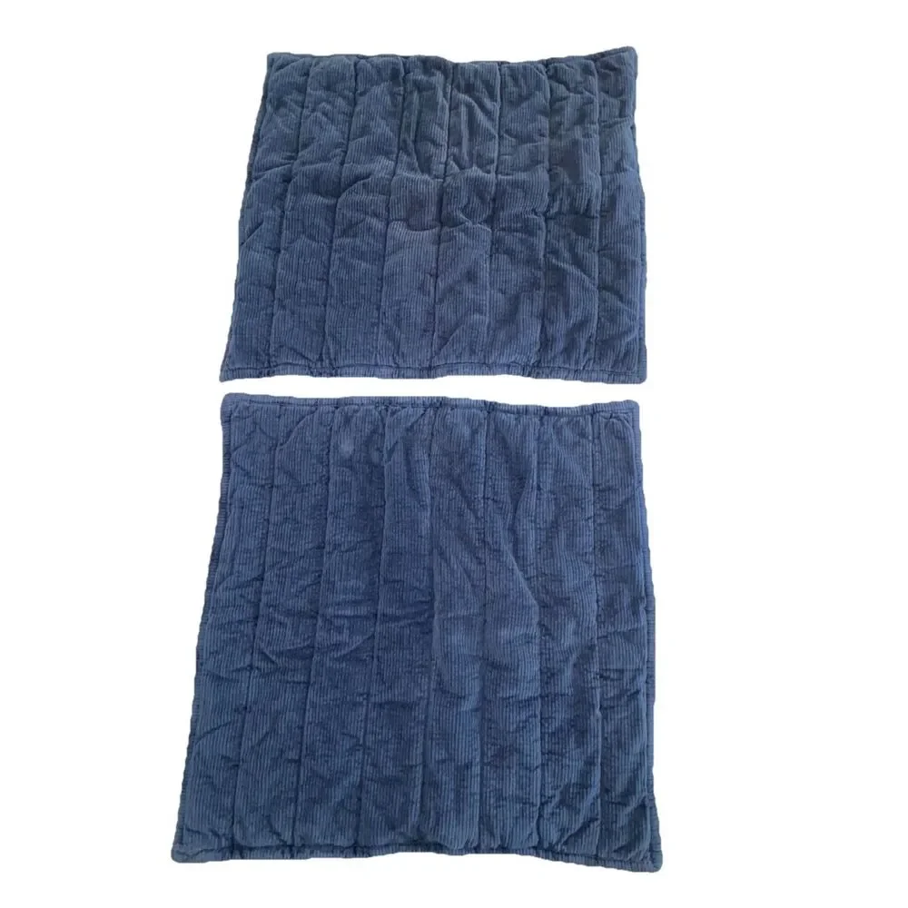 Pottery Barn Teen Emerson 2 Navy Blue Corduroy Pillow Shams European Square